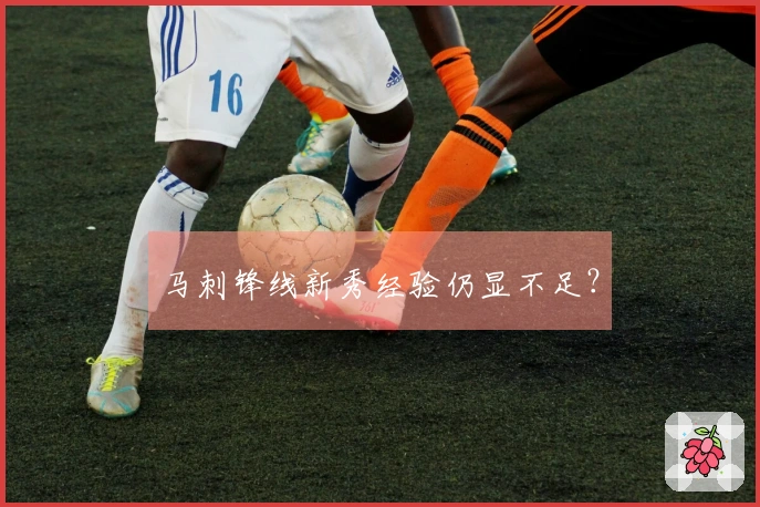 马刺锋线新秀经验仍显不足？